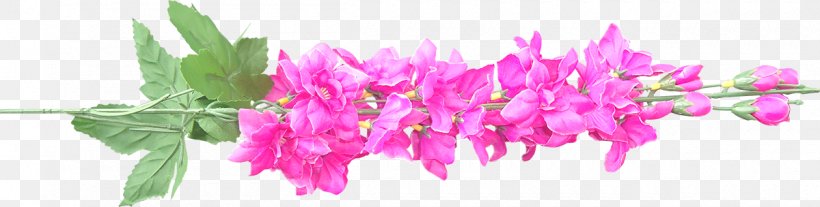 Pink M RTV Pink Plant Stem, PNG, 1200x304px, Pink M, Flower, Grass, Magenta, Petal Download Free