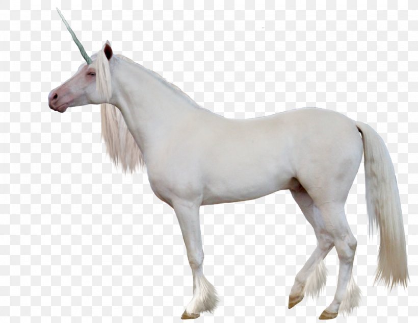 Unicorn Clip Art, PNG, 1024x791px, Unicorn, Bbcode, Gimp, Horse, Horse Like Mammal Download Free