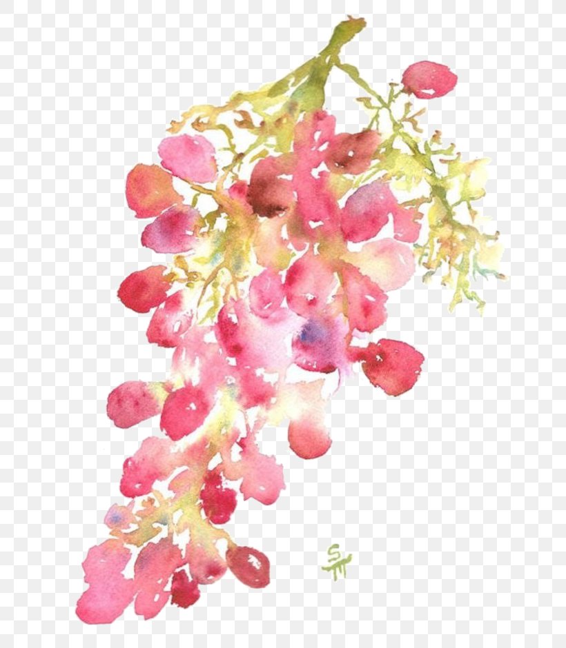Watercolor Painting January Wallpaper, PNG, 700x940px, Watercolor Painting, Art, Blossom, Branch, Drawing Download Free