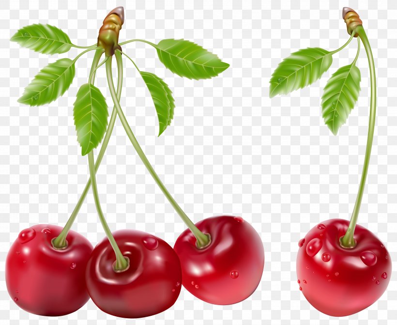 Cherry Fruit, PNG, 4744x3884px, Cherry, Acerola, Acerola Family, Berry, Cdr Download Free