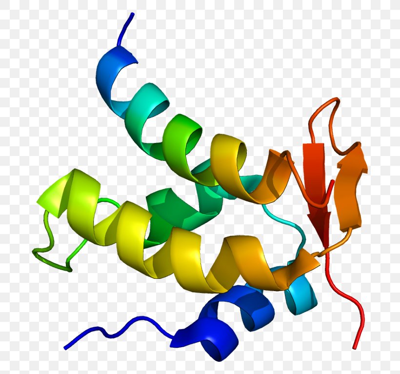 CTDP1 WD Repeat-containing Protein 77 Gene Enzyme Protein Arginine Methyltransferase 5, PNG, 739x767px, Gene, Artwork, Cterminus, Enzyme, Organism Download Free