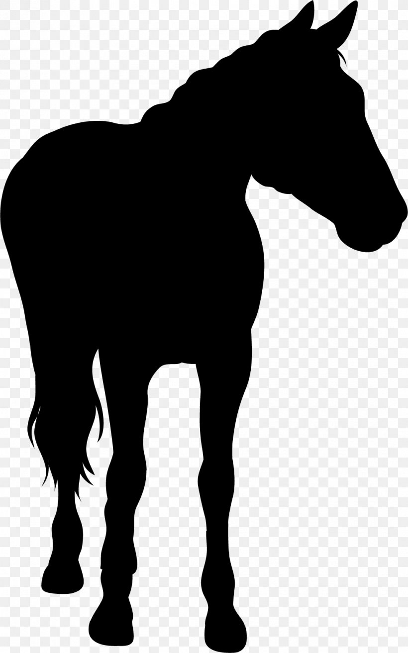 Horse Silhouette, PNG, 1069x1713px, Horse, Animation, Black, Black And White, Cartoon Download Free
