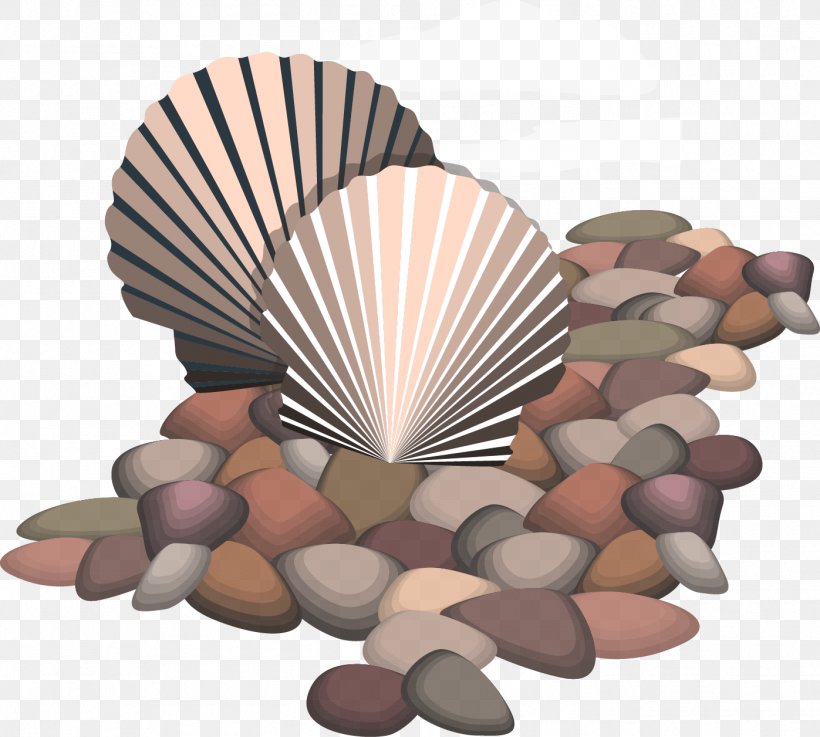 Seashell Euclidean Vector Rock, PNG, 1397x1256px, Seashell, Beach, Beachrock, Element, Pebble Download Free