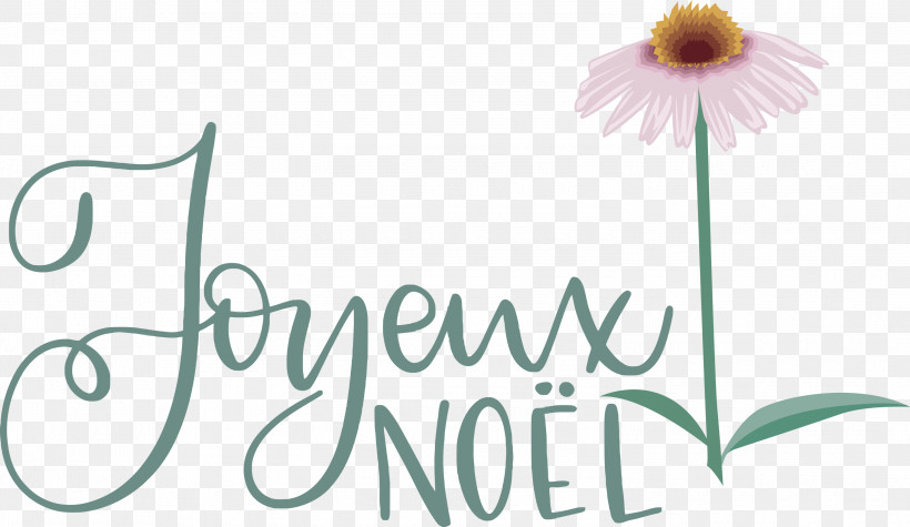 Noel Nativity Xmas, PNG, 3000x1739px, Noel, Christmas, Cut Flowers, Flora, Floral Design Download Free