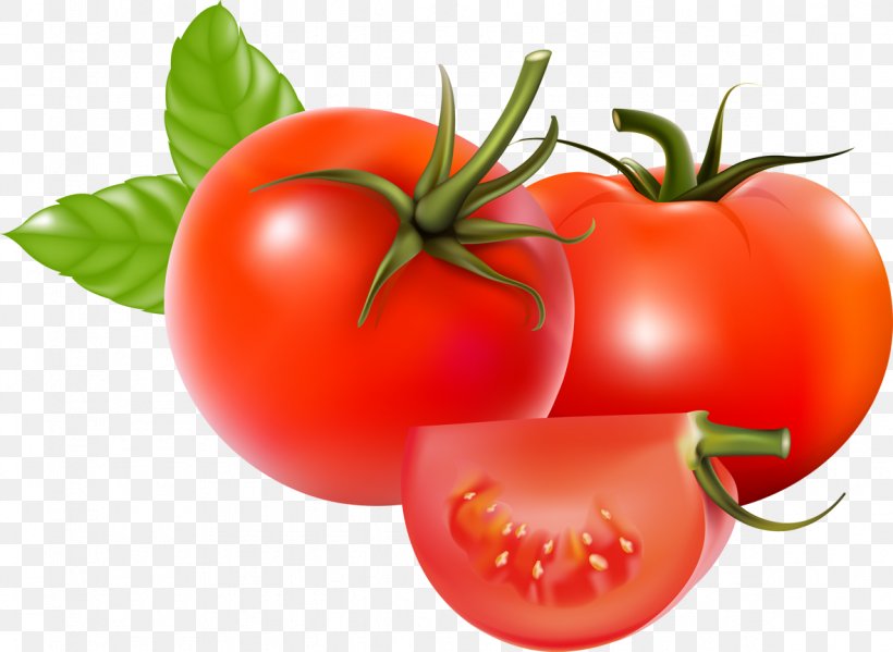 Plum Tomato Bush Tomato Tomato Soup Vegetable, PNG, 1181x863px, Plum Tomato, Bush Tomato, Cdr, Diet Food, Food Download Free