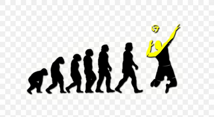 Primate Neandertal Homo Sapiens Human Evolution, PNG, 1069x584px, Primate, Ape, Area, Brand, Communication Download Free