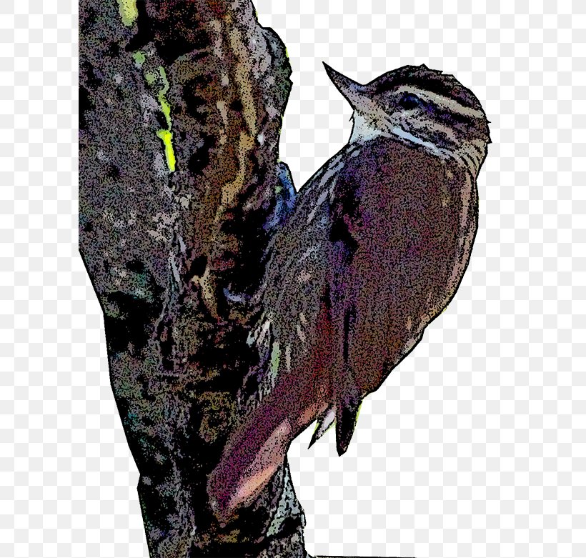 Woodpecker Fauna Beak Cuckoos, PNG, 600x781px, Woodpecker, Beak, Bird, Cuckoos, Cuculiformes Download Free