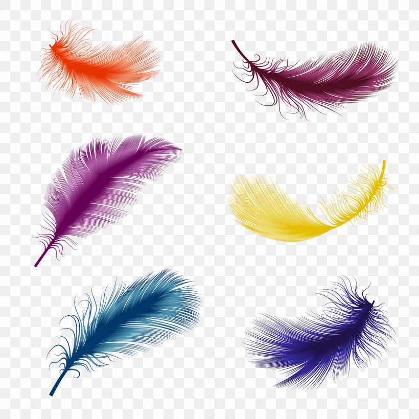 Bird Feather Euclidean Vector Illustration, PNG, 2083x2083px, Bird, Depositphotos, Drawing, Eyelash, Feather Download Free