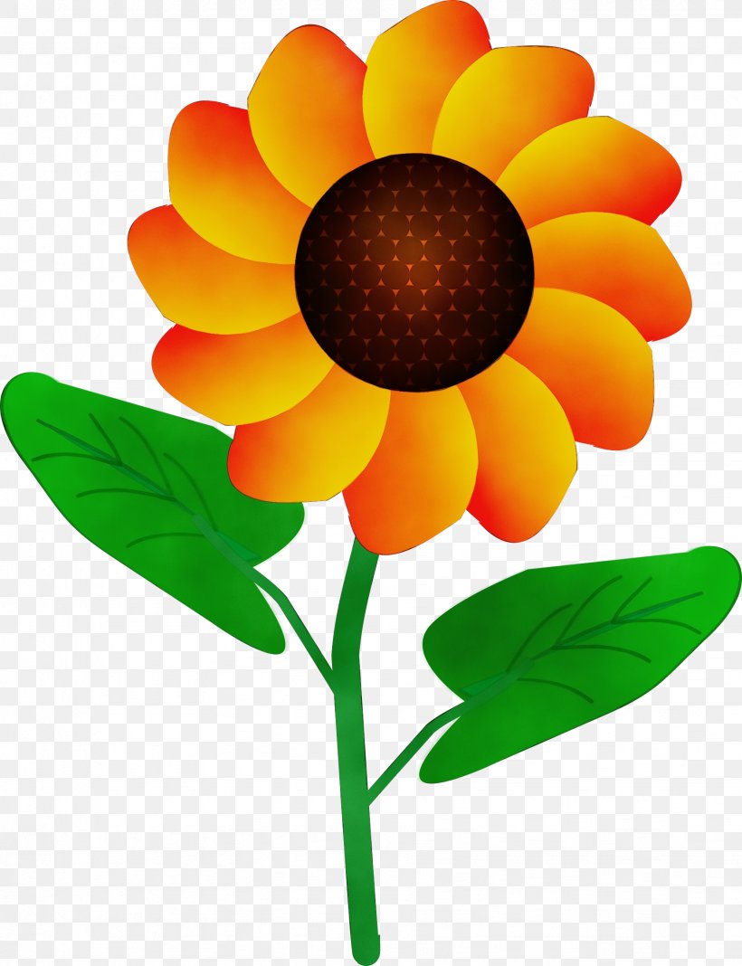 Clip Art Flower Cartoon Drawing, PNG, 1841x2400px, Flower, Blackeyed Susan, Botany, Cartoon, Common Sunflower Download Free