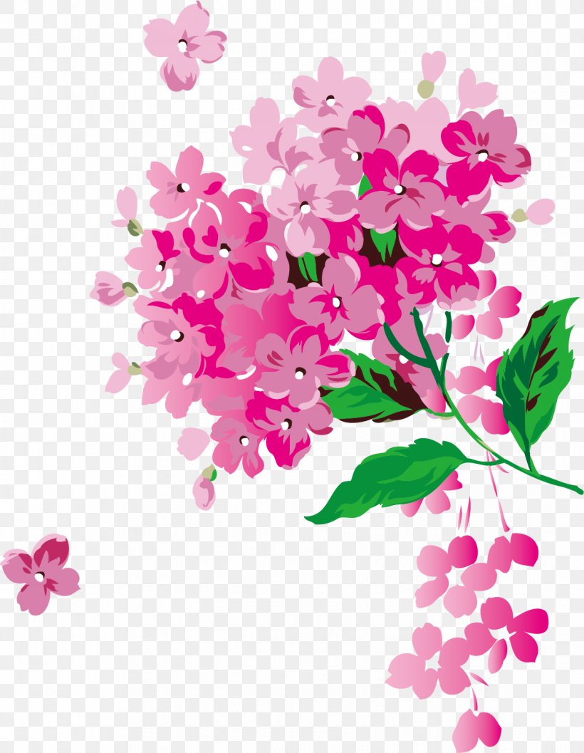 Flower Download Petal, PNG, 1187x1531px, Flower, Blossom, Branch, Cherry Blossom, Cut Flowers Download Free