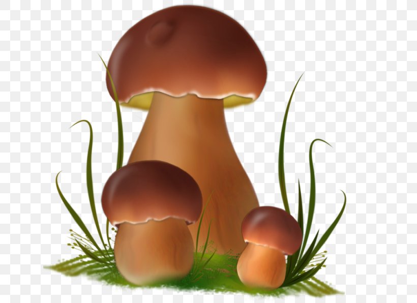 Fungus Boletus Edulis Edible Mushroom Death Cap Clip Art, PNG, 650x596px, Fungus, Amanita, Boletus, Boletus Edulis, Death Cap Download Free