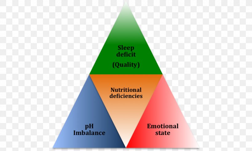 Germ Theory Of Disease Health Nutrition, PNG, 865x518px, Germ Theory Of Disease, Brand, Conceptual Model, Cone, Diagram Download Free