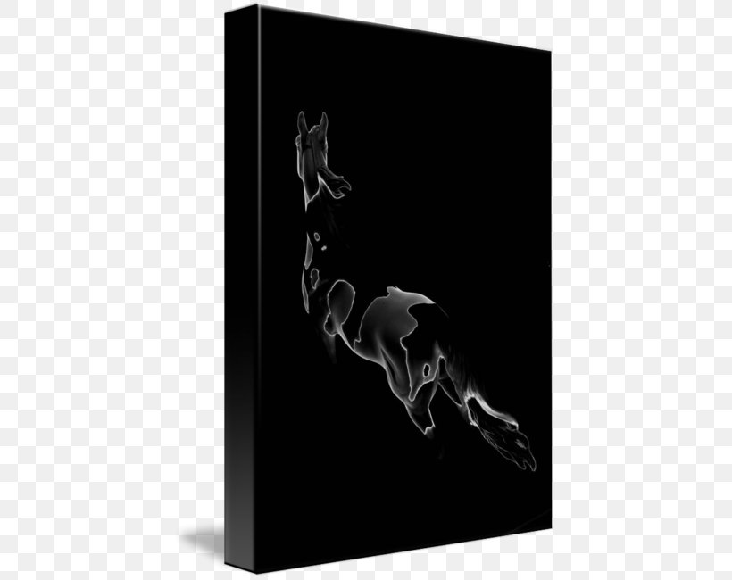 Horse Black Silhouette Photography White, PNG, 429x650px, Horse, Black, Black And White, Black M, Horse Like Mammal Download Free