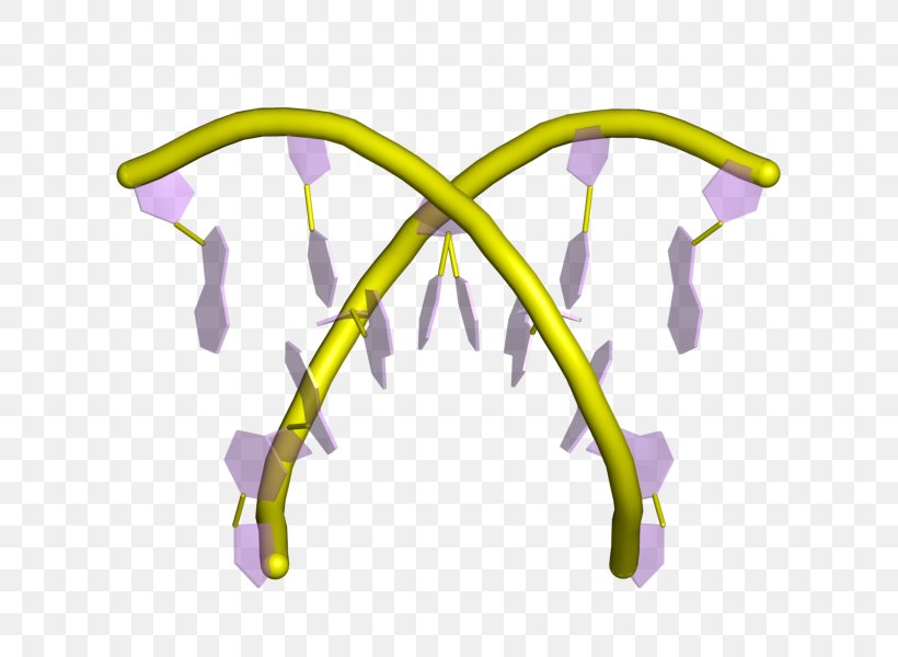 Line Angle Clip Art, PNG, 800x600px, Yellow, Purple Download Free