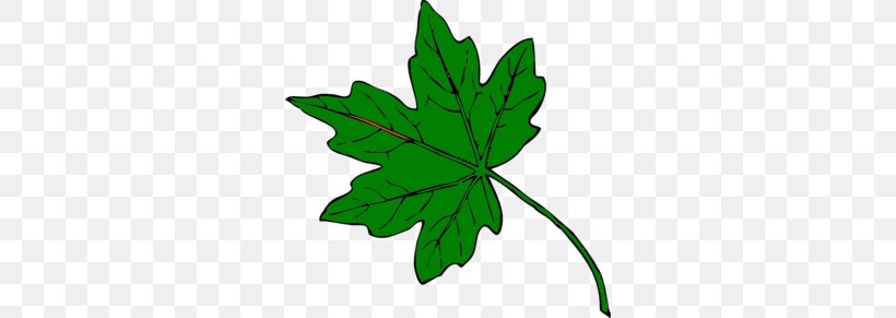 Maple Leaf Green Clip Art, PNG, 298x291px, Maple Leaf, Autumn, Autumn Leaf Color, Color, Flowering Plant Download Free
