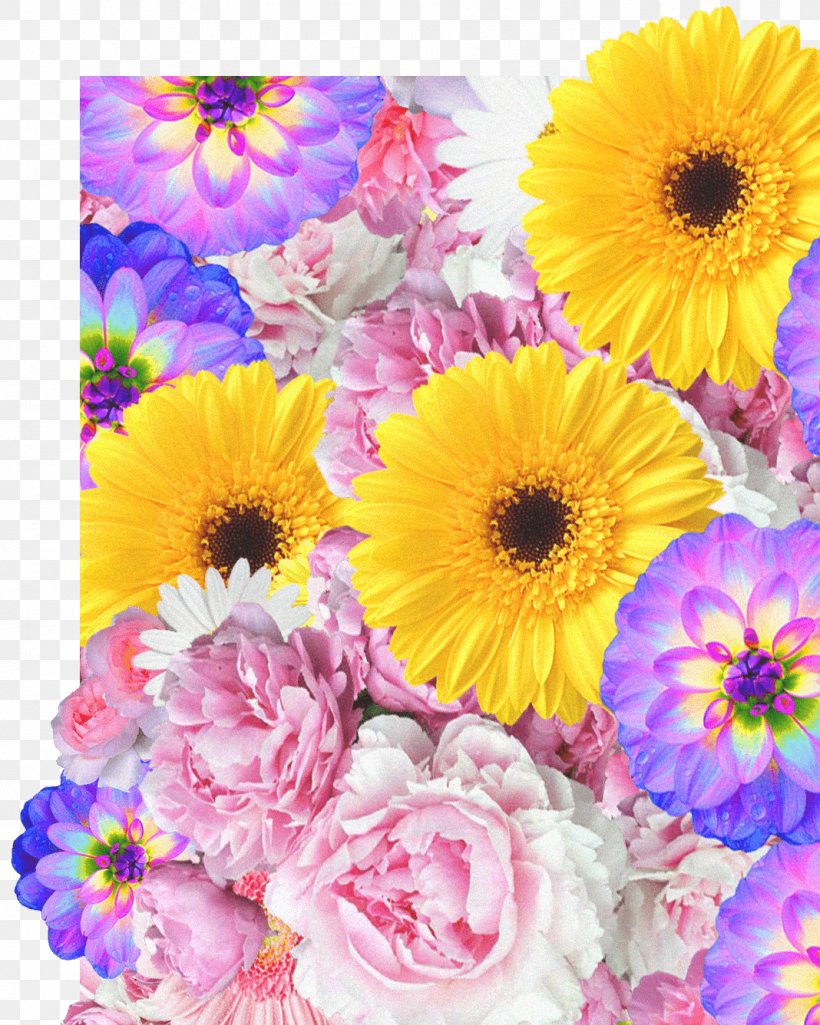 Transvaal Daisy Cut Flowers Floral Design Flower Bouquet, PNG, 1068x1336px, Transvaal Daisy, Annual Plant, Aster, Cabaret, Calendula Download Free