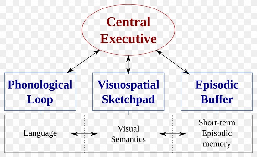 Baddeley's Model Of Working Memory Executive Functions Cognitive Psychology, PNG, 1920x1172px, Working Memory, Area, Attention, Brain, Brand Download Free