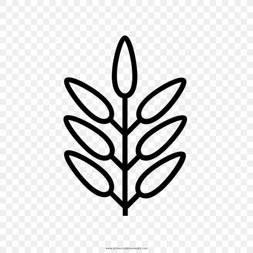 Coloring Book Leaf Drawing Mandala, PNG, 1000x1000px, Coloring Book, Ausmalbild, Black And White, Book, Branch Download Free