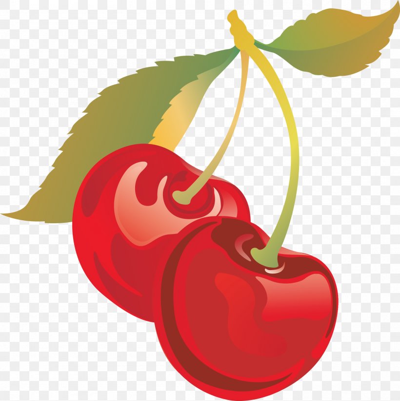 Sweet Cherry Drawing Clip Art, PNG, 1898x1902px, Cherry, Apple, Cerasus, Drawing, Flower Download Free