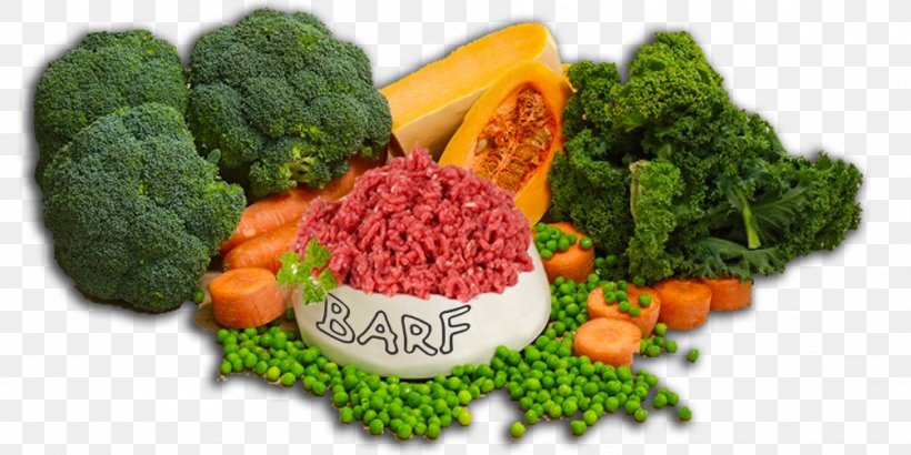 Vegetables Cartoon, PNG, 1005x503px, Dog, Broccoli, Cuisine, Diet, Diet Food Download Free