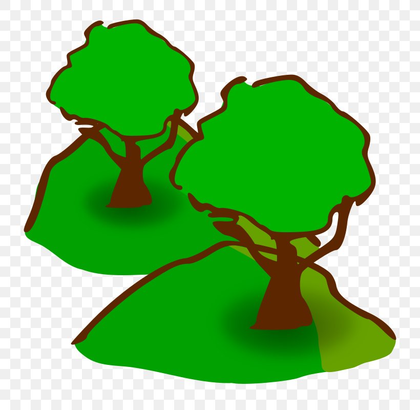 Tree Clip Art, PNG, 800x800px, Tree, Area, Artwork, Drawing, Evergreen Download Free