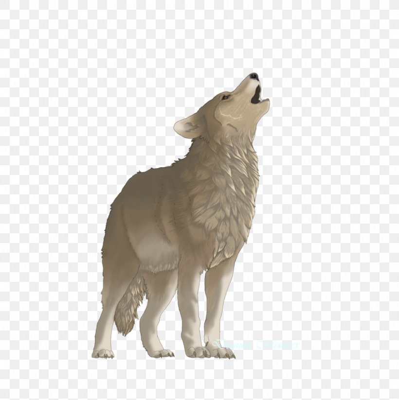 Dog Coyote Terrestrial Animal Fur Wildlife, PNG, 900x904px, Dog, Animal, Carnivoran, Coyote, Dog Like Mammal Download Free