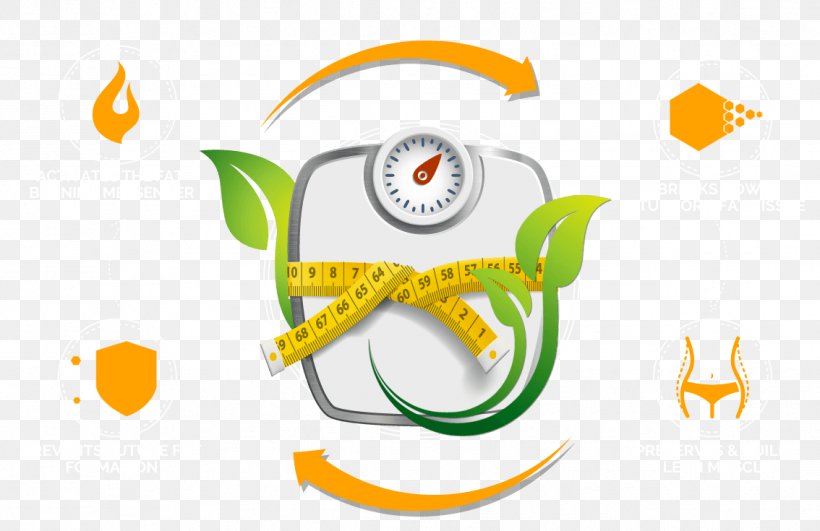 Human Body Weight Weight Loss Measuring Scales Body Mass Index Body Fat Percentage, PNG, 1134x735px, Human Body Weight, Body Fat Percentage, Body Mass Index, Brand, Calculation Download Free