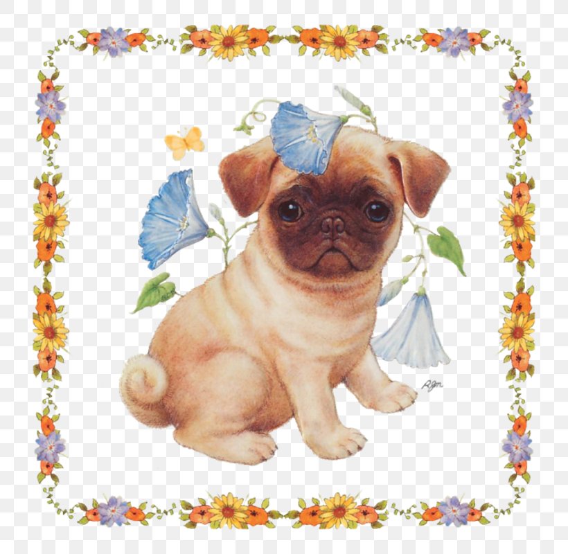 Pug Puppy Dog Breed Companion Dog Toy Dog, PNG, 800x800px, Pug, Ballet Dancer, Breed, Carnivoran, Companion Dog Download Free