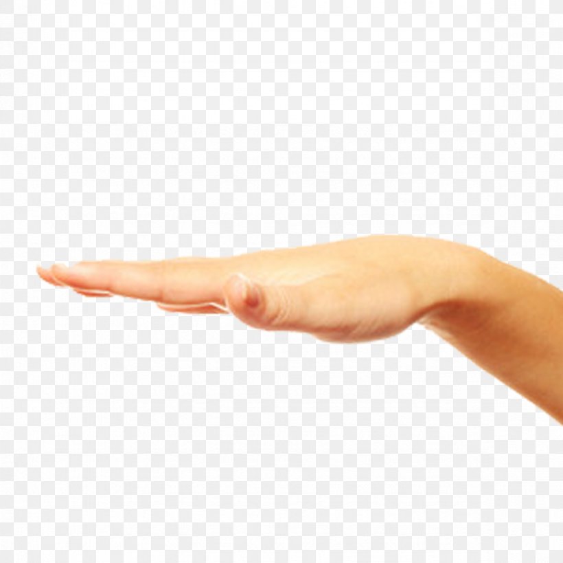 Thumb Hand Man, PNG, 1181x1181px, Thumb, Arm, Digit, Drawing, Finger Download Free