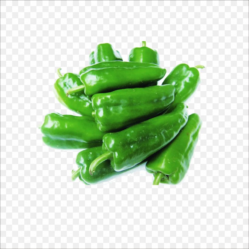 Bell Pepper Vegetable Taobao Pickled Pepper U7dd1u9ec4u8272u91ceu83dc, PNG, 1773x1773px, Bell Pepper, Bell Peppers And Chili Peppers, Birds Eye Chili, Capsaicin, Capsicum Annuum Download Free