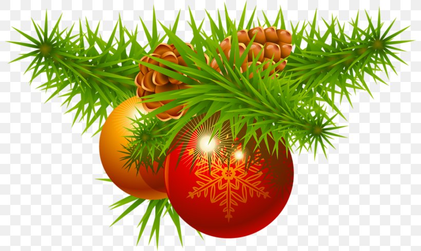 Christmas Decoration Christmas Ornament Santa Claus Christmas Tree, PNG, 800x490px, Christmas, Branch, Christmas Card, Christmas Decoration, Christmas Gift Download Free