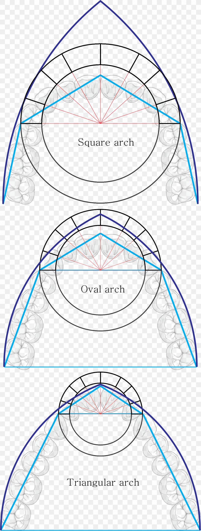 Circle Sphere Geometry Angle Centre, PNG, 1045x2762px, Sphere, Area, Centre, Diagram, Drawing Download Free