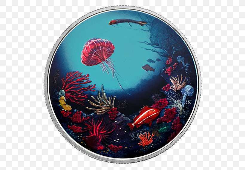 Coral Reef Canada Light Coin Marine Biology, PNG, 570x570px, Coral Reef, Canada, Coin, Coral, Coral Bleaching Download Free
