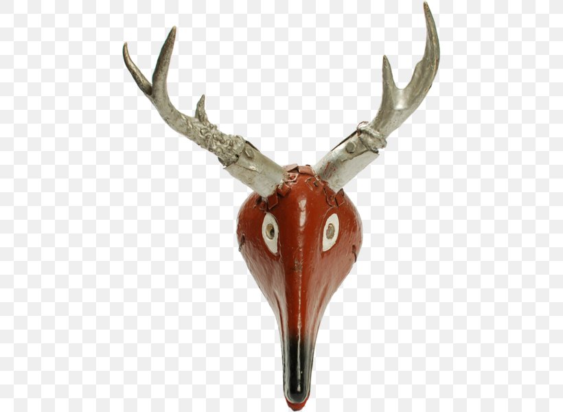 Elk Wildlife, PNG, 600x600px, Elk, Antler, Deer, Horn, Wildlife Download Free