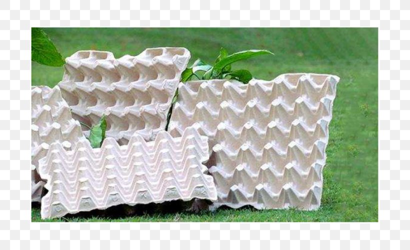 Faizabad Yash Papers Limited Material Egg Carton, PNG, 700x500px, Faizabad, Business, Disposable, Egg, Egg Carton Download Free