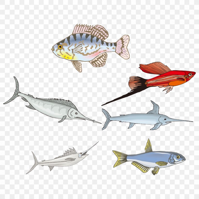 Fish Drawing Biology, PNG, 1000x1000px, Fish, Animation, Biology, Cartoon, Drawing Download Free