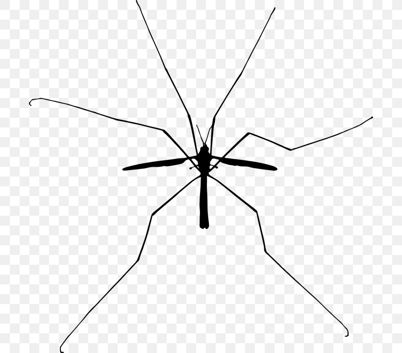 Mosquito Insect Silhouette Clip Art, PNG, 702x720px, Mosquito, Area, Arthropod, Bird, Black And White Download Free