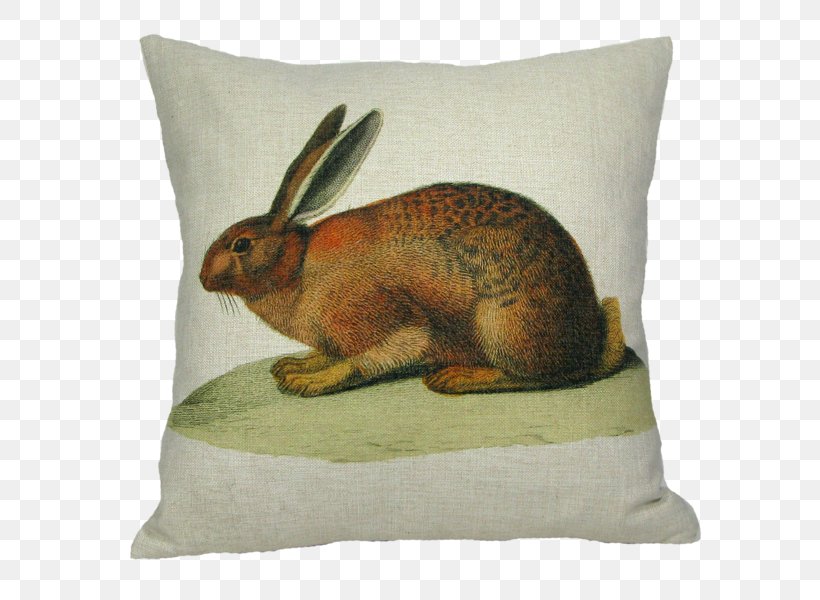 Domestic Rabbit Throw Pillows Easter Bunny, PNG, 600x600px, Domestic Rabbit, Brown Bunny, Chair, Cotton, Couch Download Free