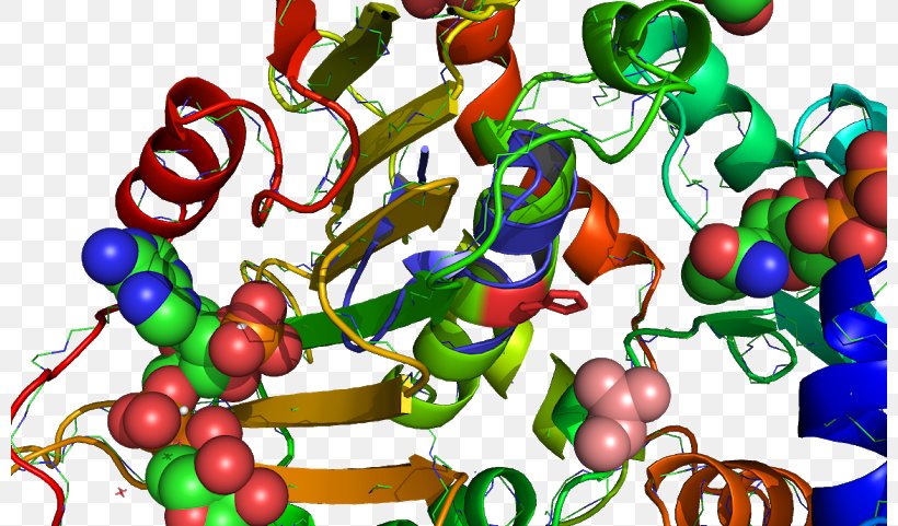 Glucose-6-phosphate Dehydrogenase Nicotinamide Adenine Dinucleotide Phosphate Glyceraldehyde 3-phosphate Dehydrogenase Glutathione Reductase, PNG, 800x481px, Glucose6phosphate Dehydrogenase, Dehydrogenase, Ec 111, Enzyme, Enzyme Commission Number Download Free