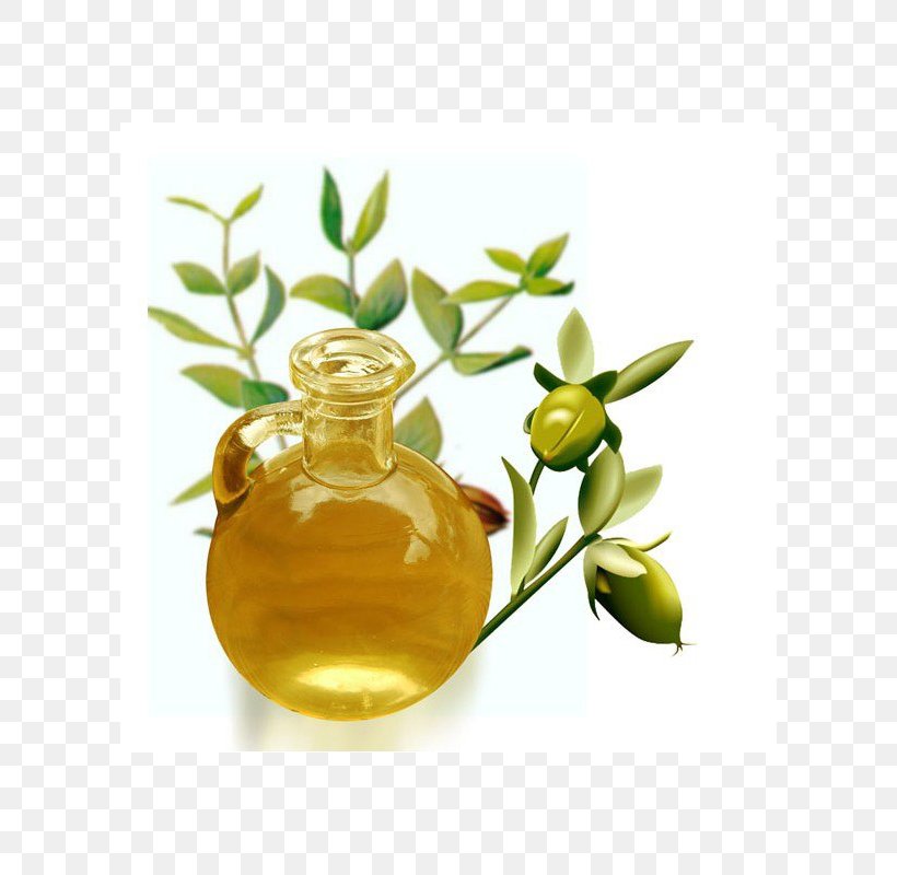 Jojoba Oil Essential Oil Cosmetology, PNG, 800x800px, Jojoba, Avocado Oil, Cooking Oil, Cosmetics, Cosmetology Download Free