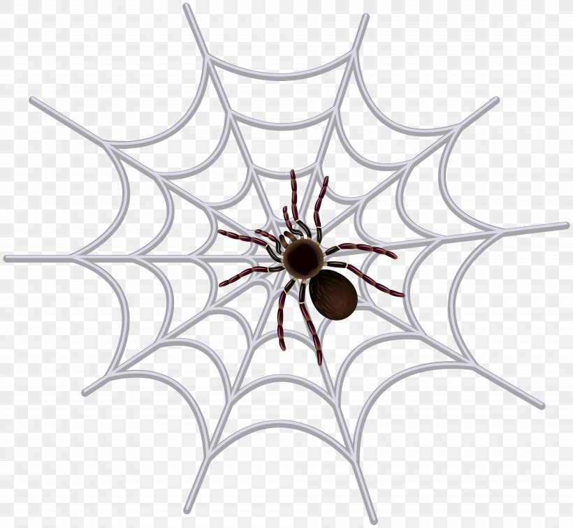 Spider Web Clip Art, PNG, 8000x7380px, Spider, Animal, Arachnid, Arachnophobia, Arthropod Download Free