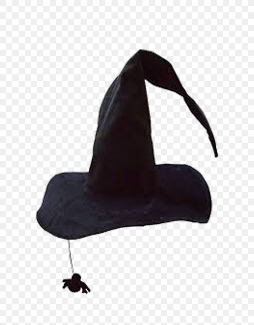 Witch Hat Boszorkxe1ny Witchcraft, PNG, 800x1048px, Hat, Black Hat, Bonnet, Halloween, Headgear Download Free