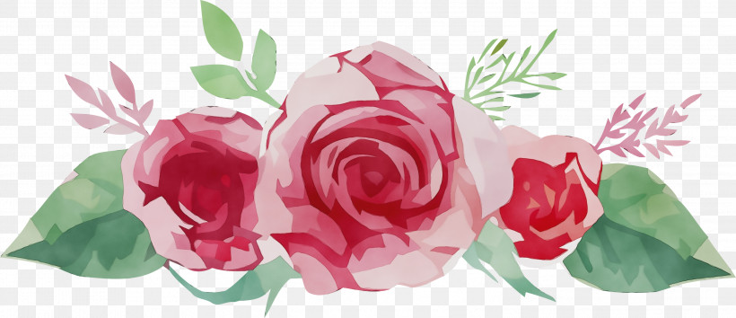 Floral Design, PNG, 2999x1297px, Watercolor Flower, Cabbage Rose, Cut Flowers, Flora, Floral Design Download Free