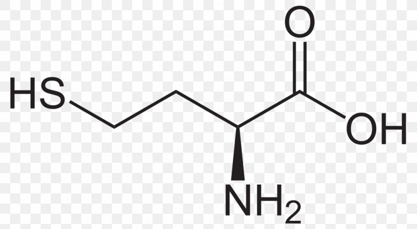 Homoserine Homocysteine Amino Acid, PNG, 1024x563px, 3hydroxypropionic Acid, Homoserine, Acid, Amino Acid, Area Download Free