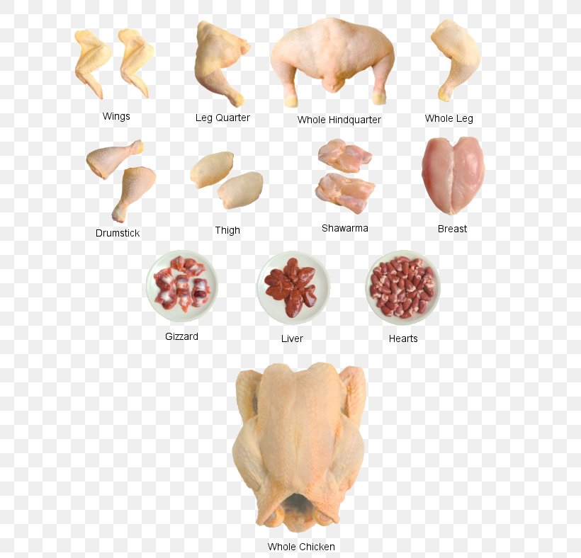 Poultry Food Agriculture Eating FFA Competitions, PNG, 665x788px, Poultry, Agricultural Education, Agriculture, Bone, Cooking Download Free