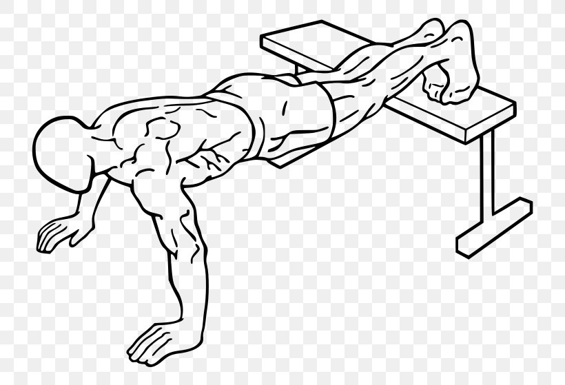 Push-up Exercise Physical Fitness Bench Press Weight Training, PNG, 800x559px, Watercolor, Cartoon, Flower, Frame, Heart Download Free