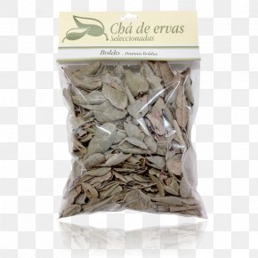 Tea - Alexandrian Senna Green Tea HÅjicha Natura &Co PNG