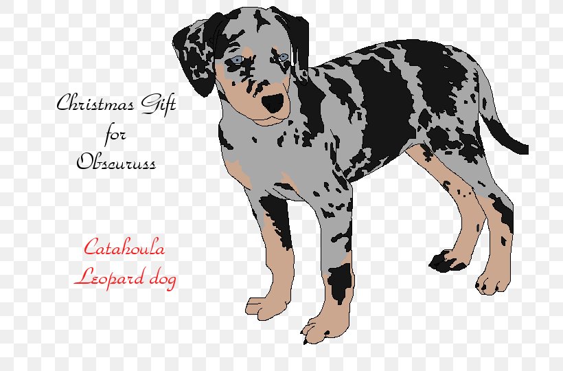 Dalmatian Dog Puppy Dog Breed Companion Dog Non-sporting Group, PNG, 720x540px, Dalmatian Dog, Breed, Carnivoran, Companion Dog, Dalmatian Download Free