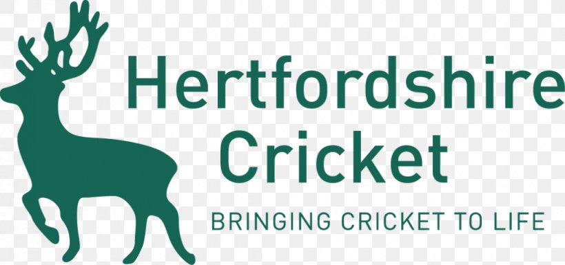Hertfordshire County Cricket Club Essex County Cricket Club Kolkata Knight Riders Hertfordshire Cricket League, PNG, 1030x484px, Essex County Cricket Club, Antler, Bowling Cricket, Brand, Club Cricket Download Free