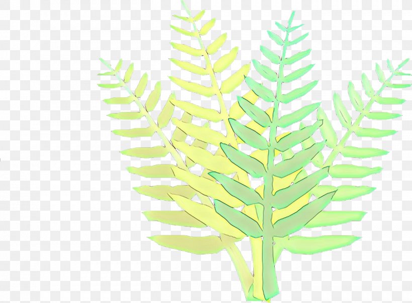 Leaf Green Plant Grass Family Flower, PNG, 1353x997px, Cartoon, Flower, Grass, Grass Family, Green Download Free